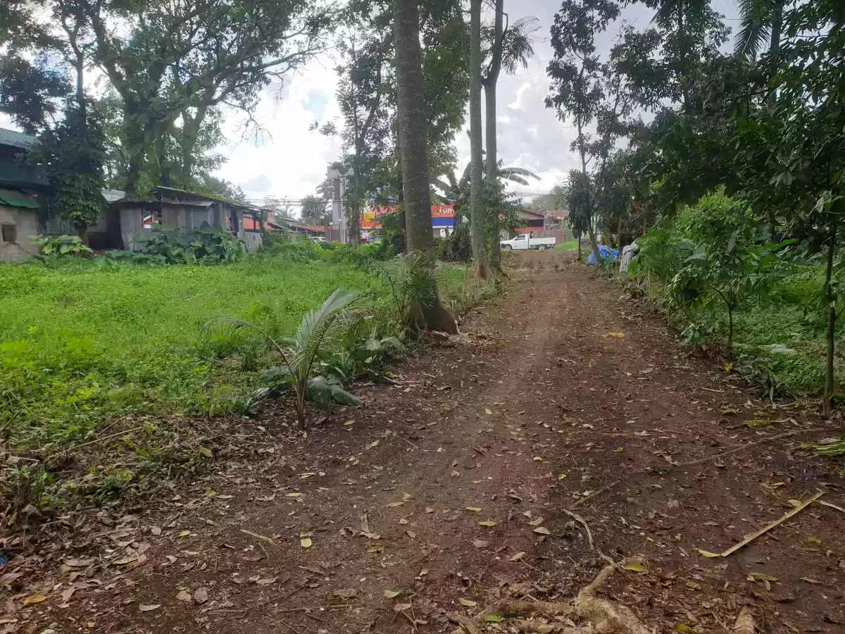 Rush Sale Residential Lot — Residential Lot in Malaybalay, Bukidnon, Philippines — Photo 4