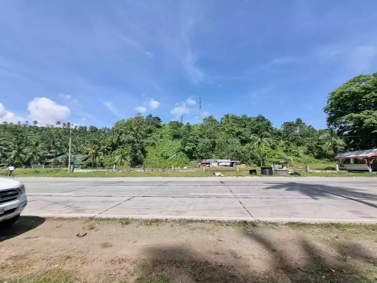 1.3 Hectares Land for Sale