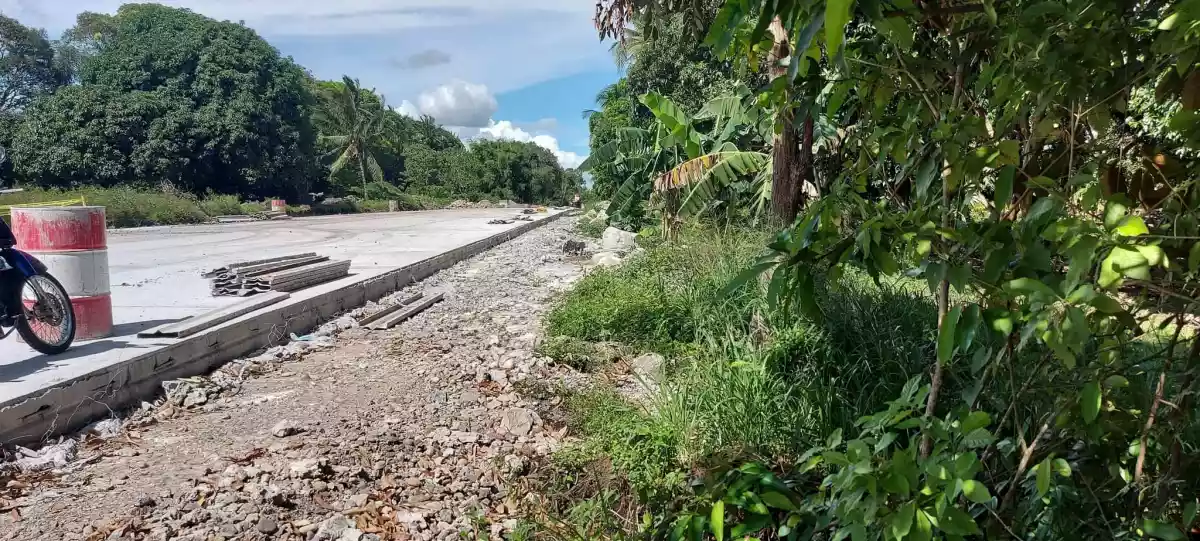 Lot for Sale in San Miguel Bacong — Agricultural Lot in Negros Oriental, Philippines — Photo 3