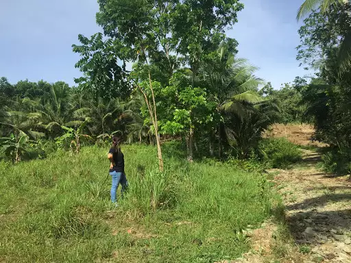 Agricultural/ Residential lot in Balamban for sale! — Agricultural Lot in Balamban, Cebu, Philippines — Photo 5