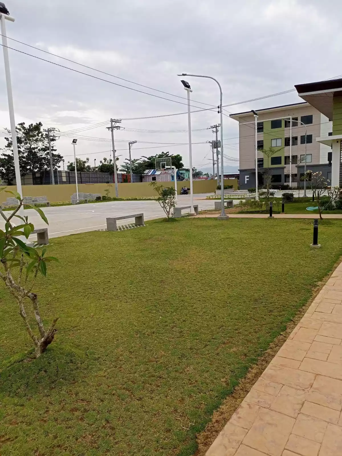 Vertex Central For Assume - photo 3
