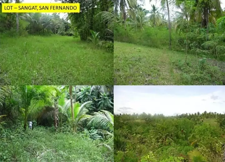 LOT for SALE - photo 3