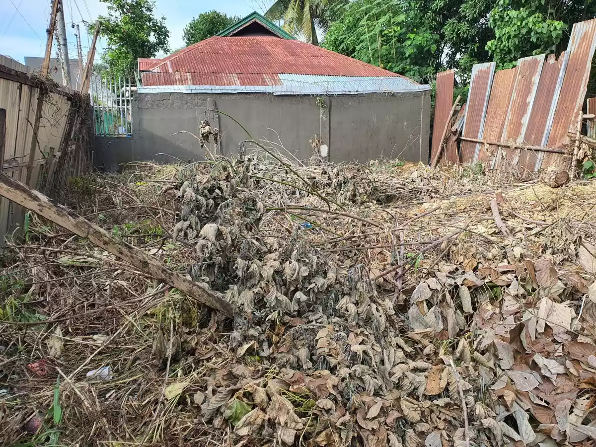 RDF_tayudlot - photo 2