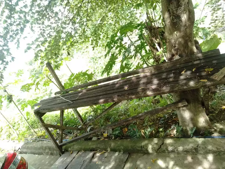 Titled lot for sale in Lilo an - photo 7