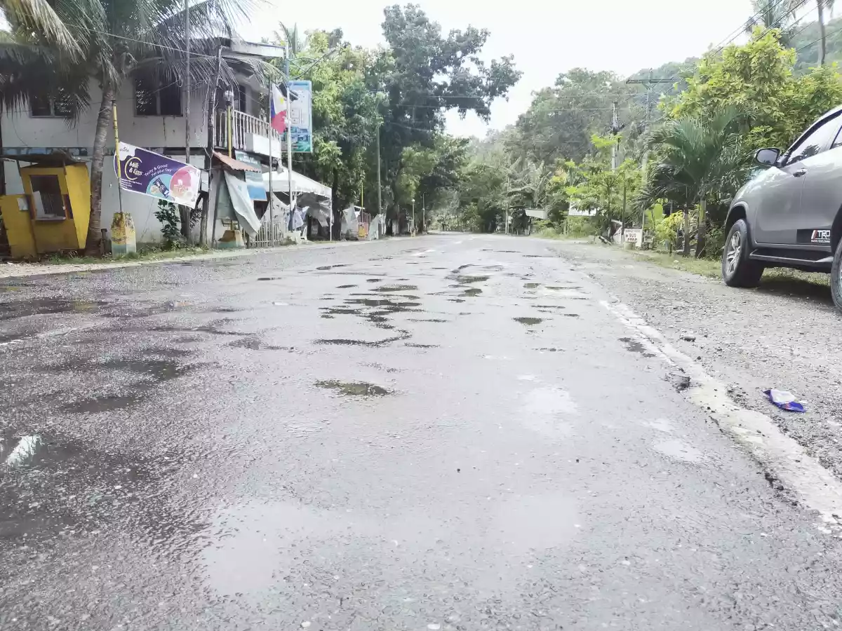 Beach Lot for Sale in Oslob Cebu — Beach Lot — Photo 6
