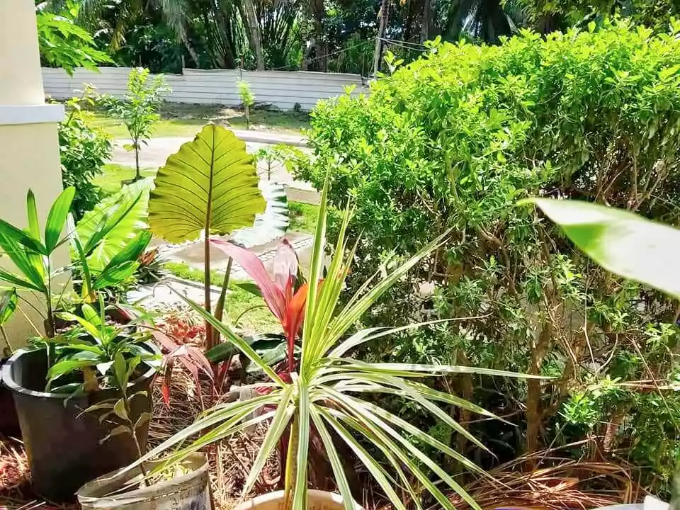 RUSH SALE Beachfront 5BR Single Detached House & Lot at Fonte di Versailles, Mingla near the Sea - photo 7
