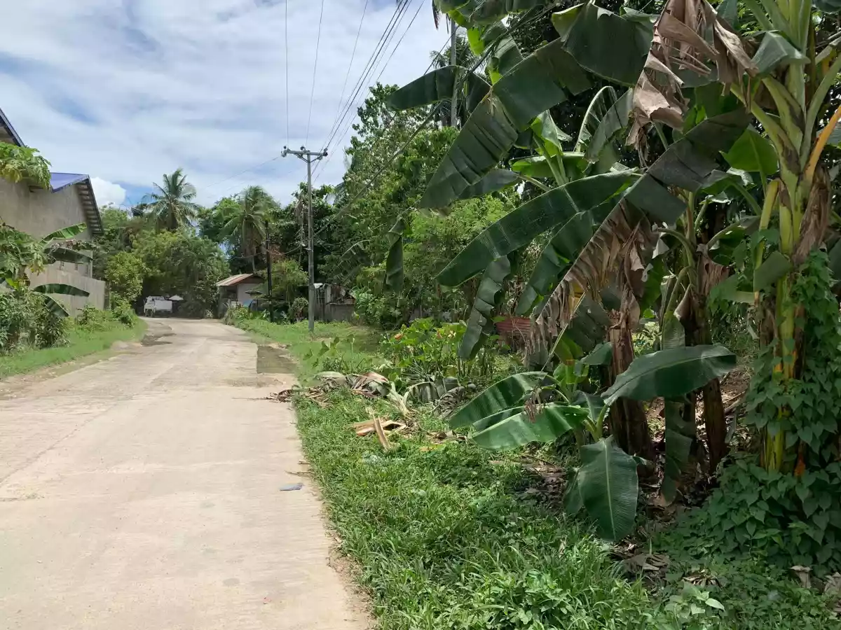 Lot for sale in Jubay Fatima Liloan — Residential Lot in Liloan, Cebu, Philippines — Photo 2