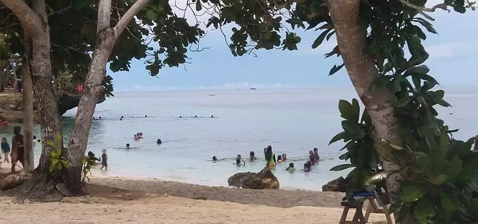BEACH RESORT IN ANDA, BOHOL - photo 6