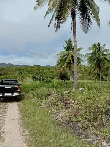 LOT for sale — Residential Lot in Boljoon, Cebu, Philippines — Photo 2