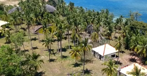 Beach Lot in Tabogon Cebu (Ideal for Resort) - photo 2