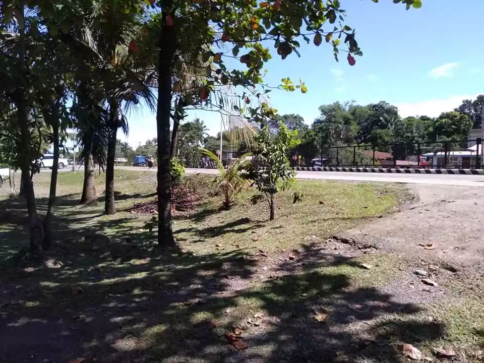 Open photo 11 of 11 — Commercial Lot along Don Carlos Highway, Bukidnon