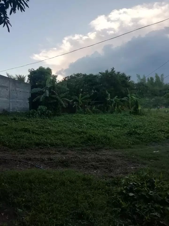 LOT FOR SALE IN STA BARBARA ILOILO - photo 4