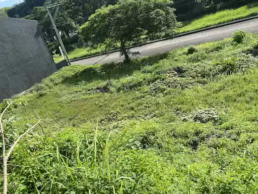 Subdivision Lot in Aspen Heights — Residential Lot in Consolacion, Cebu, Philippines — Photo 5