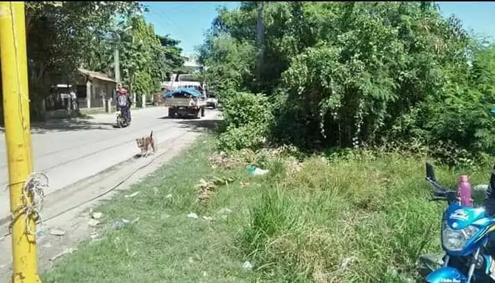 For Sale 2 Hectares Commercial Lot in Lapulapu - photo 3