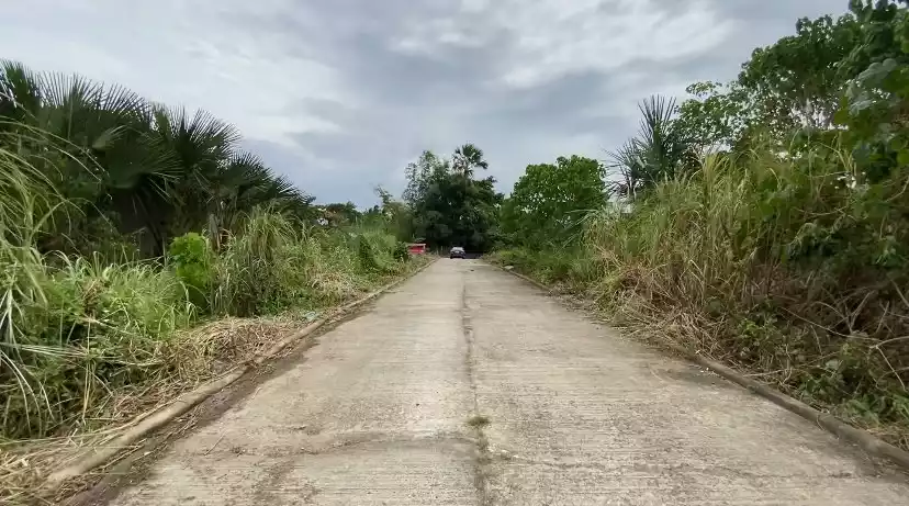Residential Corner Lot — Residential Lot in Bajac Road, Liloan, Cebu — Photo 6