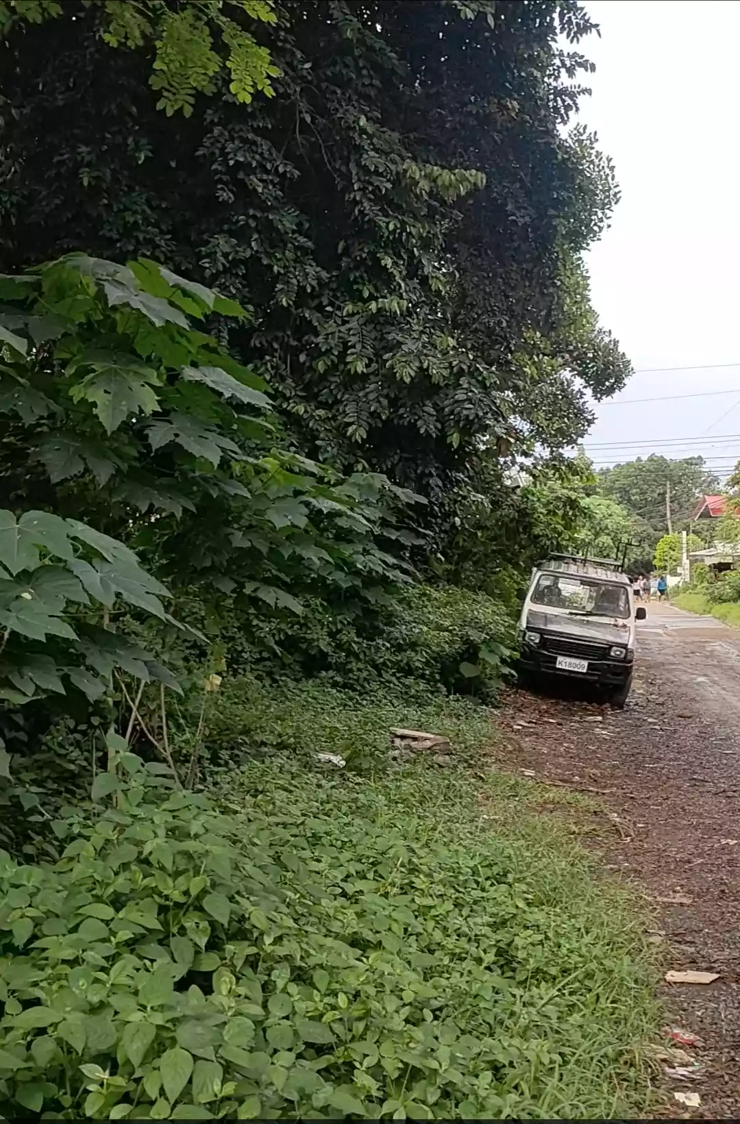 520sqm Lot For Sale in Maa — Residential Lot in Talomo, Davao City, Davao del Sur — Photo 5