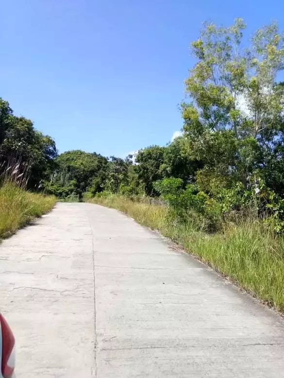 Lot for Sale - Overlooking - photo 3
