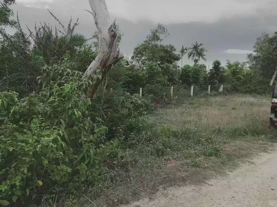 7,863sqm lot for sale in Pangangan Island Calape Bohol 480 per sqm - photo 7