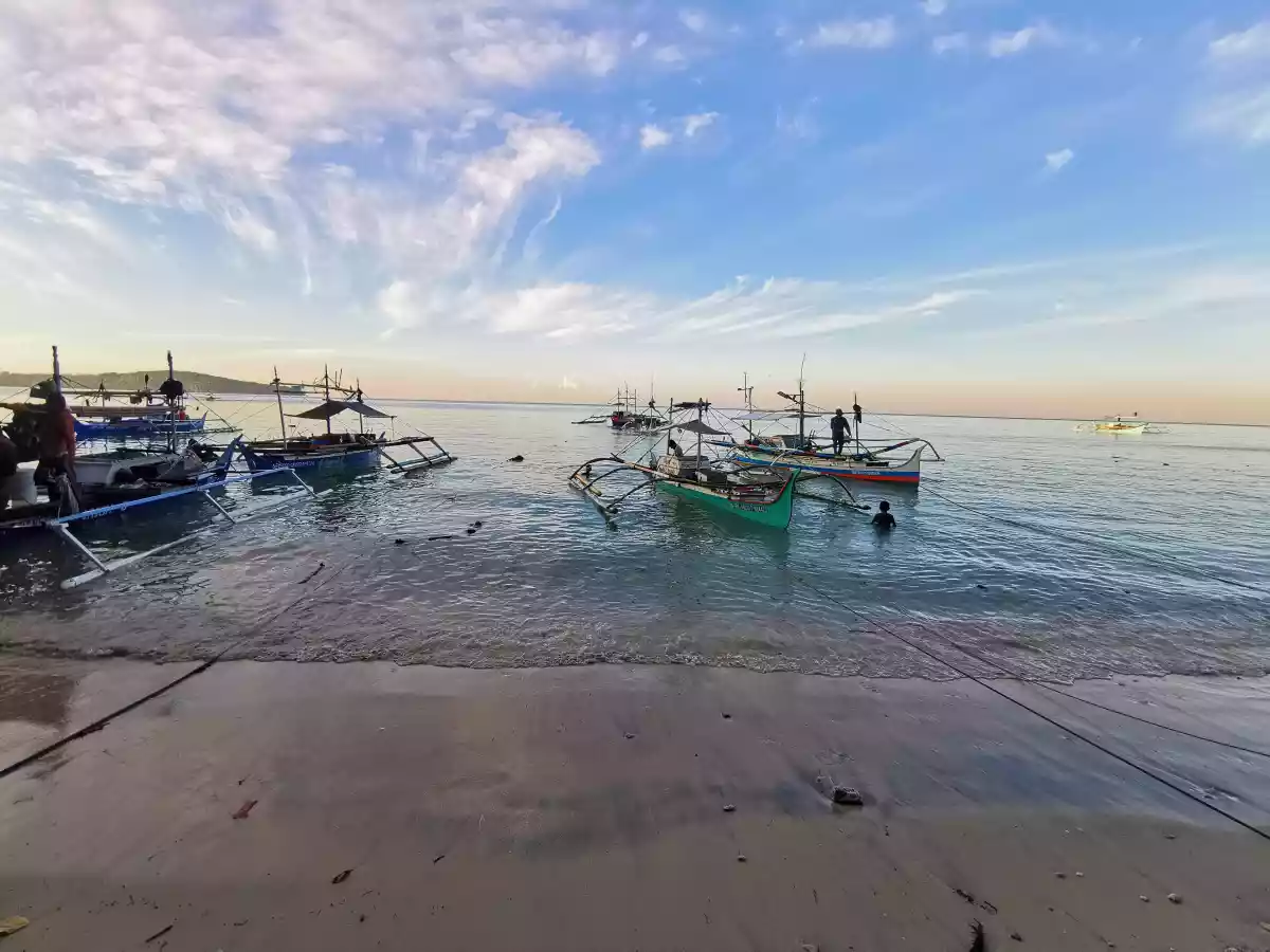 Beach Lot Property for Sale — Beach Lot in Sarangani, Philippines — Photo 7