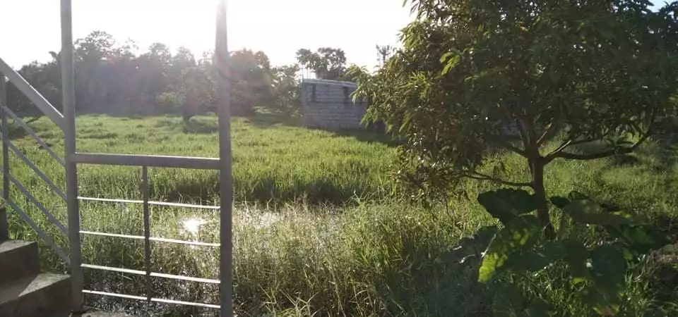 Rush For Sale-Residential Lot — Residential Lot in Leyte, Philippines — Photo 3