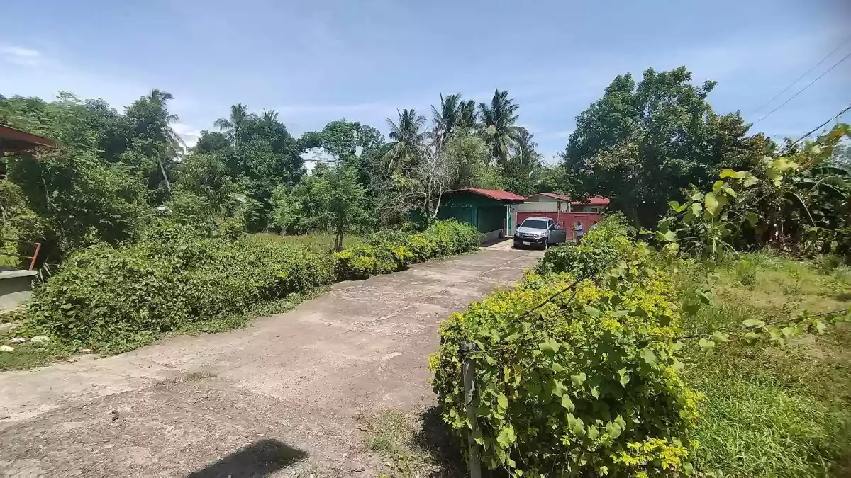 Commercial Lot along Moalboal Highway - photo 2