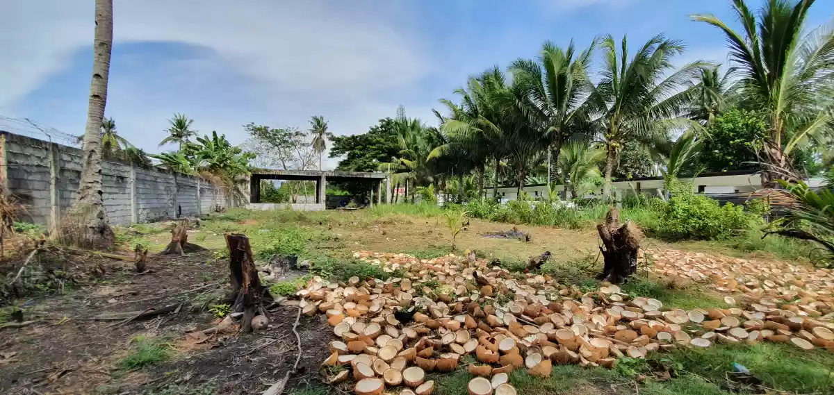 Purok 15 Road Property  - photo 2