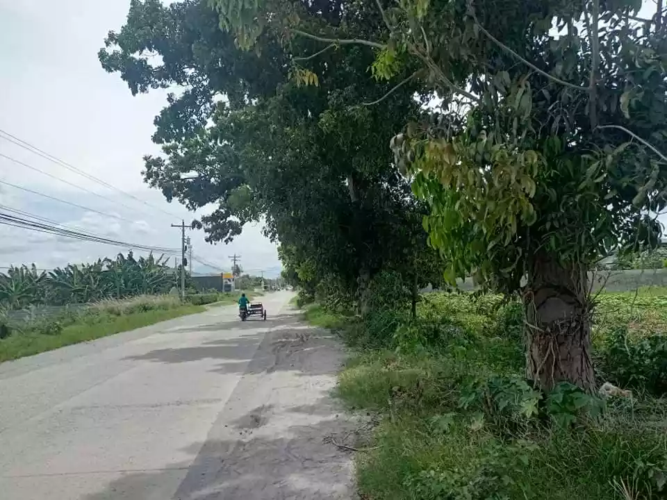 Commercial beside a high-end Subdivision  - photo 4