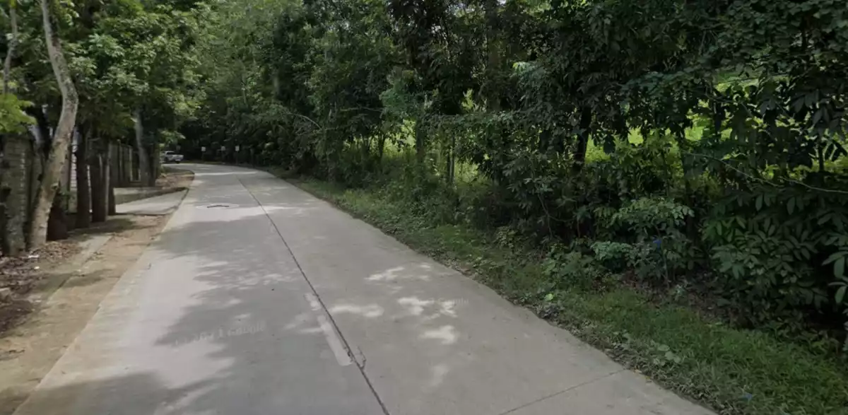 Lot for Sale in Cantumog Carmen, Cebu — Agricultural Lot in Cebu, Philippines — Photo 3