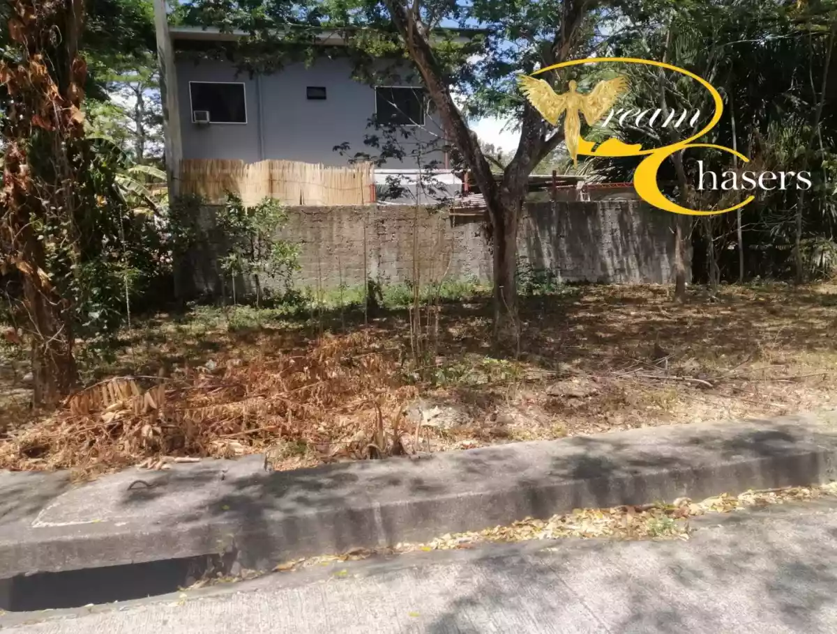 128 sqm Lot Only in Pulang-bato - photo 6