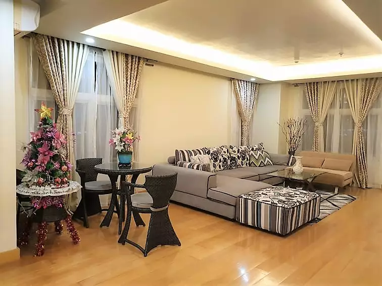1016 PENTHOUSE FOR SALE! FULLY FURNISHED, CLEAN TITLE! - photo 5