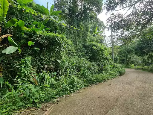 Lot for Sale — Commercial Lot in Cebu City, Cebu, Philippines — Photo 6