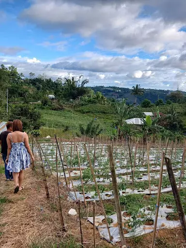 Farm lot for sale — Agricultural Lot in Cebu City, Cebu, Philippines — Photo 2