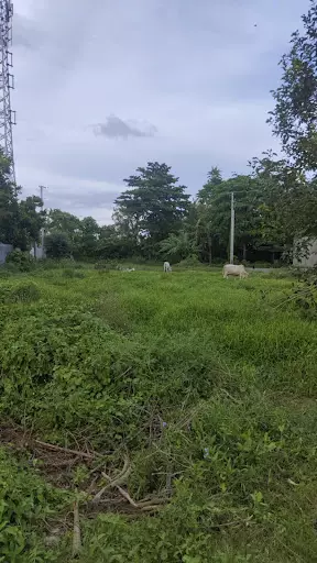 Lot — Residential Lot in South Cotabato, Philippines — Photo 5