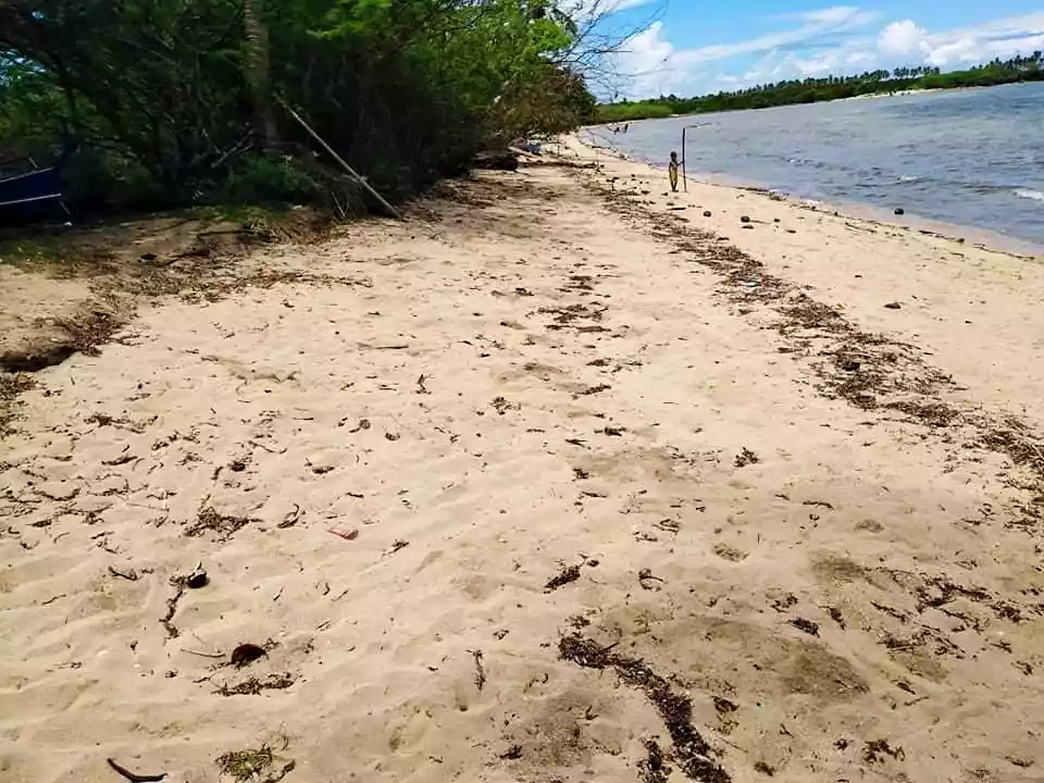 Beachlot - photo 7
