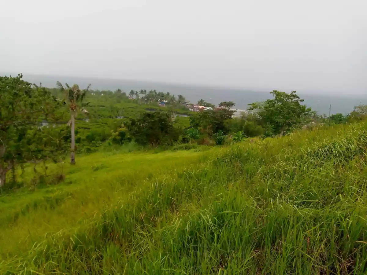BEACH LOT FOR SALE IN UBAY BOHOL — Beach Lot in Ubay, Bohol, Philippines — Photo 4