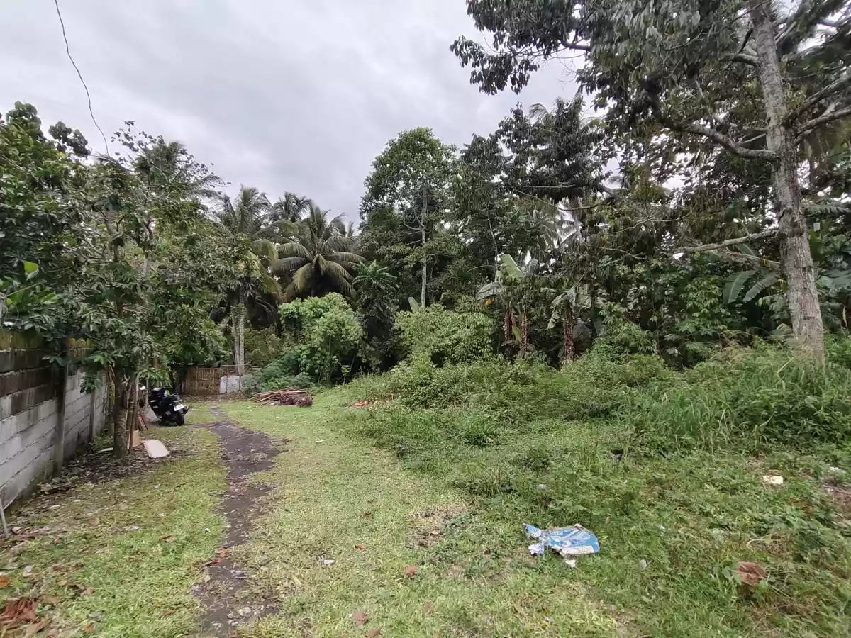 Residential Lot for Sale in Polomolok - photo 5