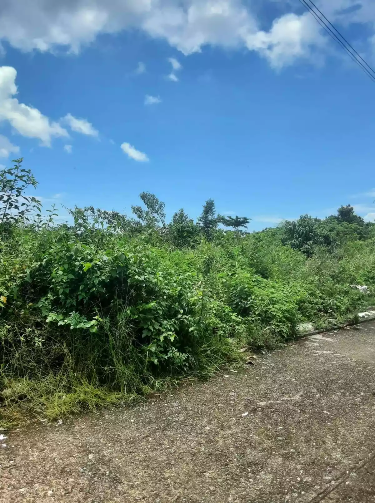 Lot for sale inside subdivision  - photo 3