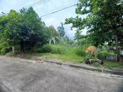 164sqm residential lot in El Monteverde in Lamac Consolacion — Residential Lot in New Orleans Street, Lamac, Consolacion — Photo 6
