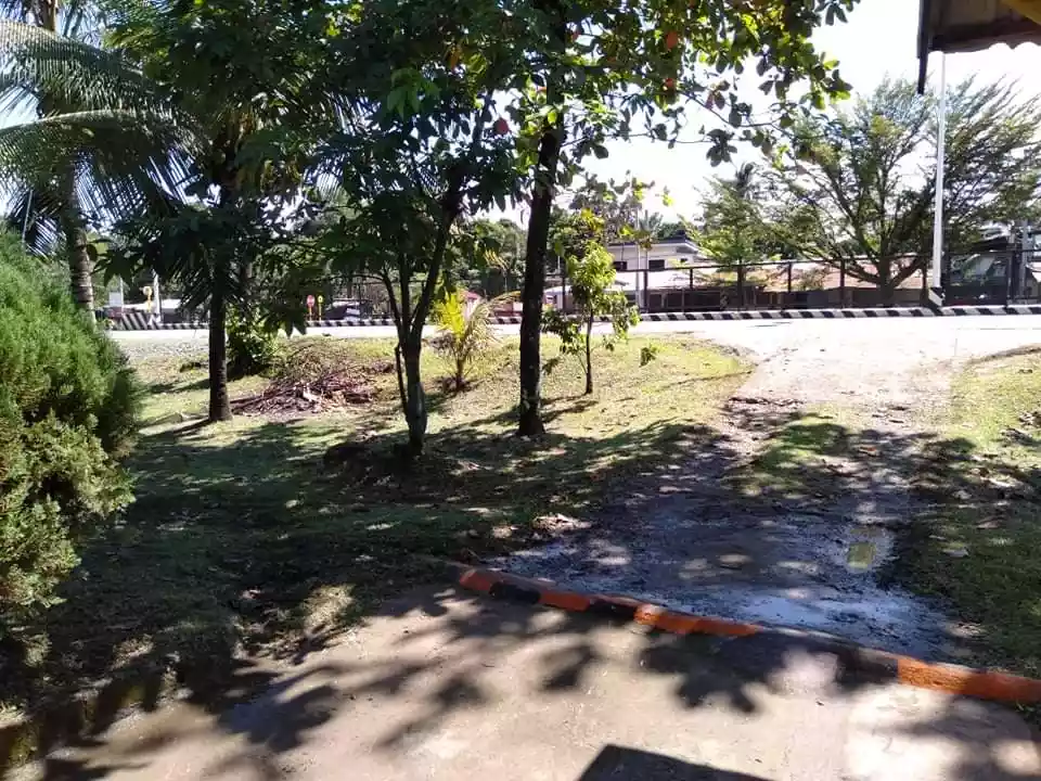 Commercial Lot along Don Carlos Highway, Bukidnon — Commercial Lot in Bukidnon, Philippines — Photo 4
