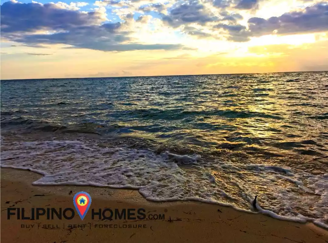 Open photo 16 of 25 — 3 Hectares Whitesand Beach Property 