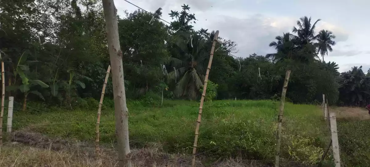 560sqm lot for sale in Anas Subd  Lagao — Residential Lot in General Santos City, South Cotabato, Philippines — Photo 3
