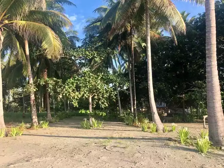 Beach Lot For Sale Puerto Princesa Palawan City - photo 2
