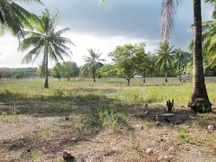 1 Hectare Beachfront Property for sale in San Rafael, Puerto Princesa City, Palawan — Beach Lot in Barangay San Miguel, Puerto Princesa, Palawan — Photo 7