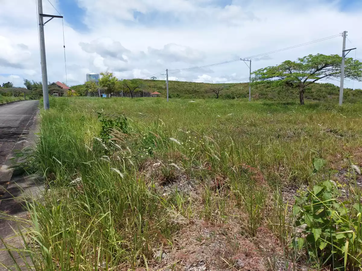 Lot for sale - photo 3