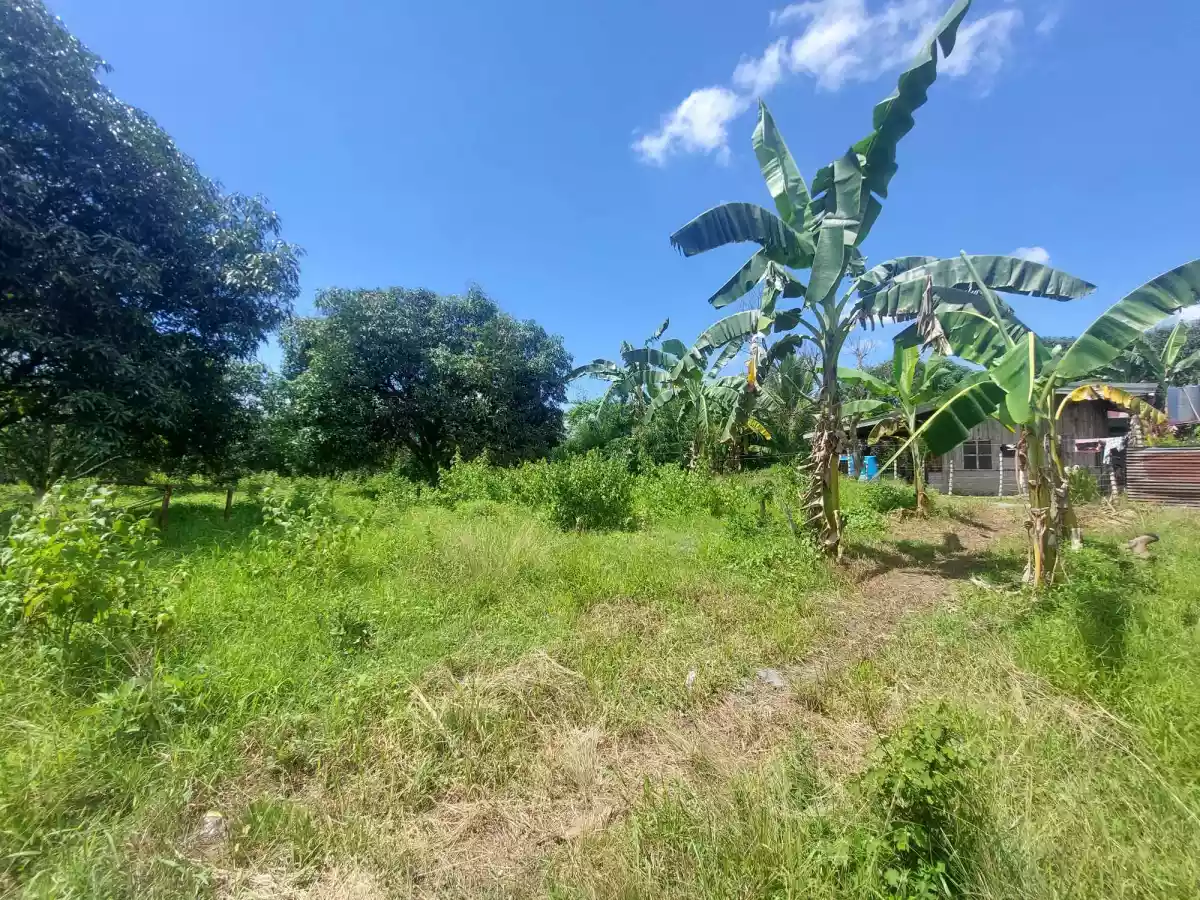RJS LOT PROPERTY FOR SALE  - photo 4