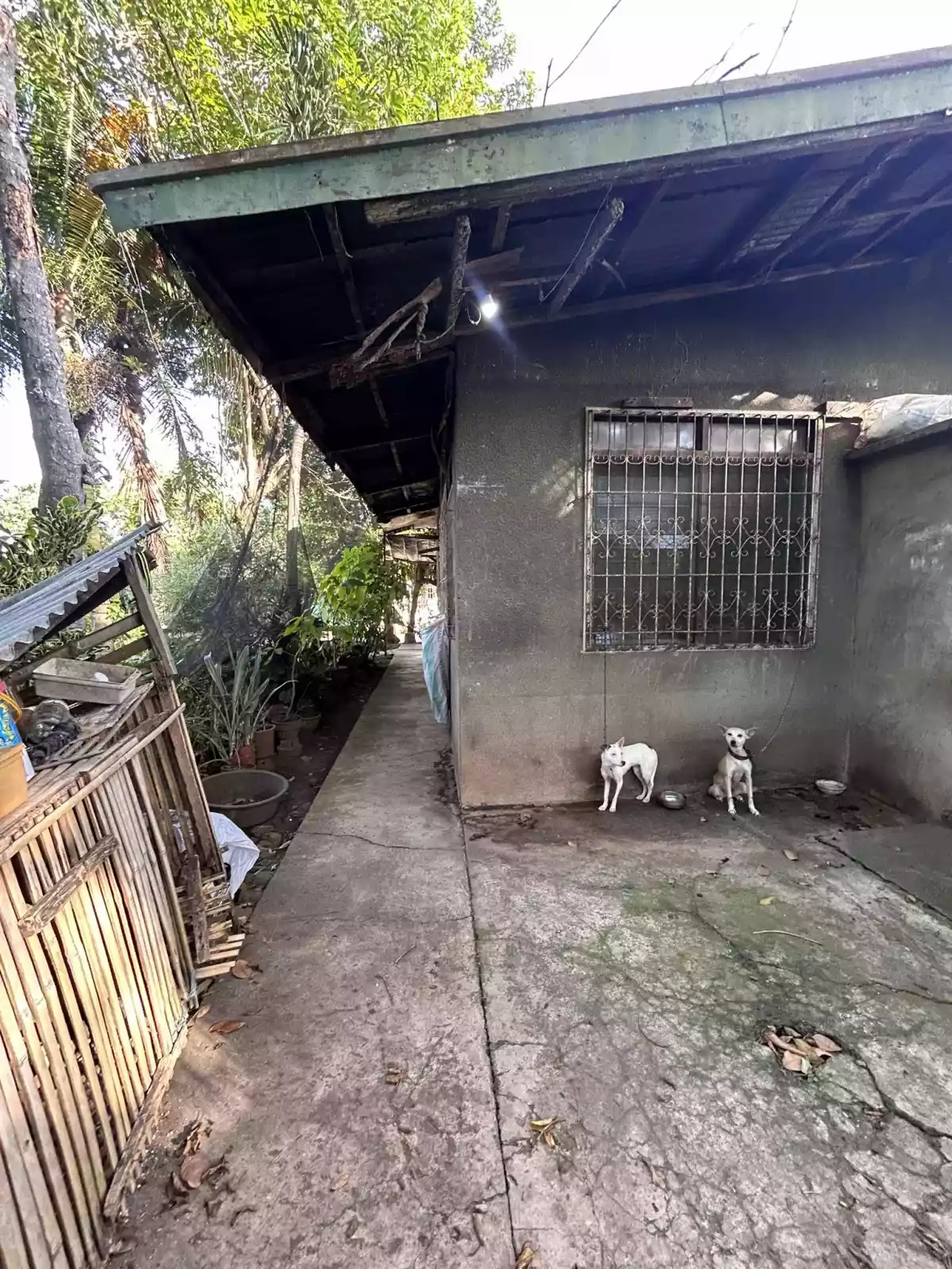 House and lot for sale in Catalunan Pequeño — House and Lot in Davao-Bukidnon Road, Talomo, Davao City — Photo 6