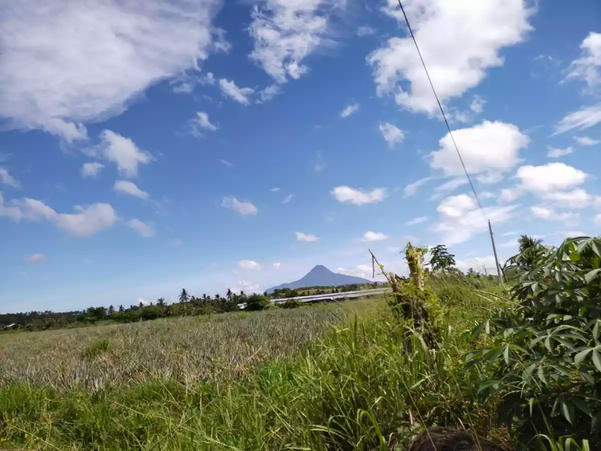 Agriland titled — Agricultural Lot in Polomolok, South Cotabato, Philippines — Photo 3