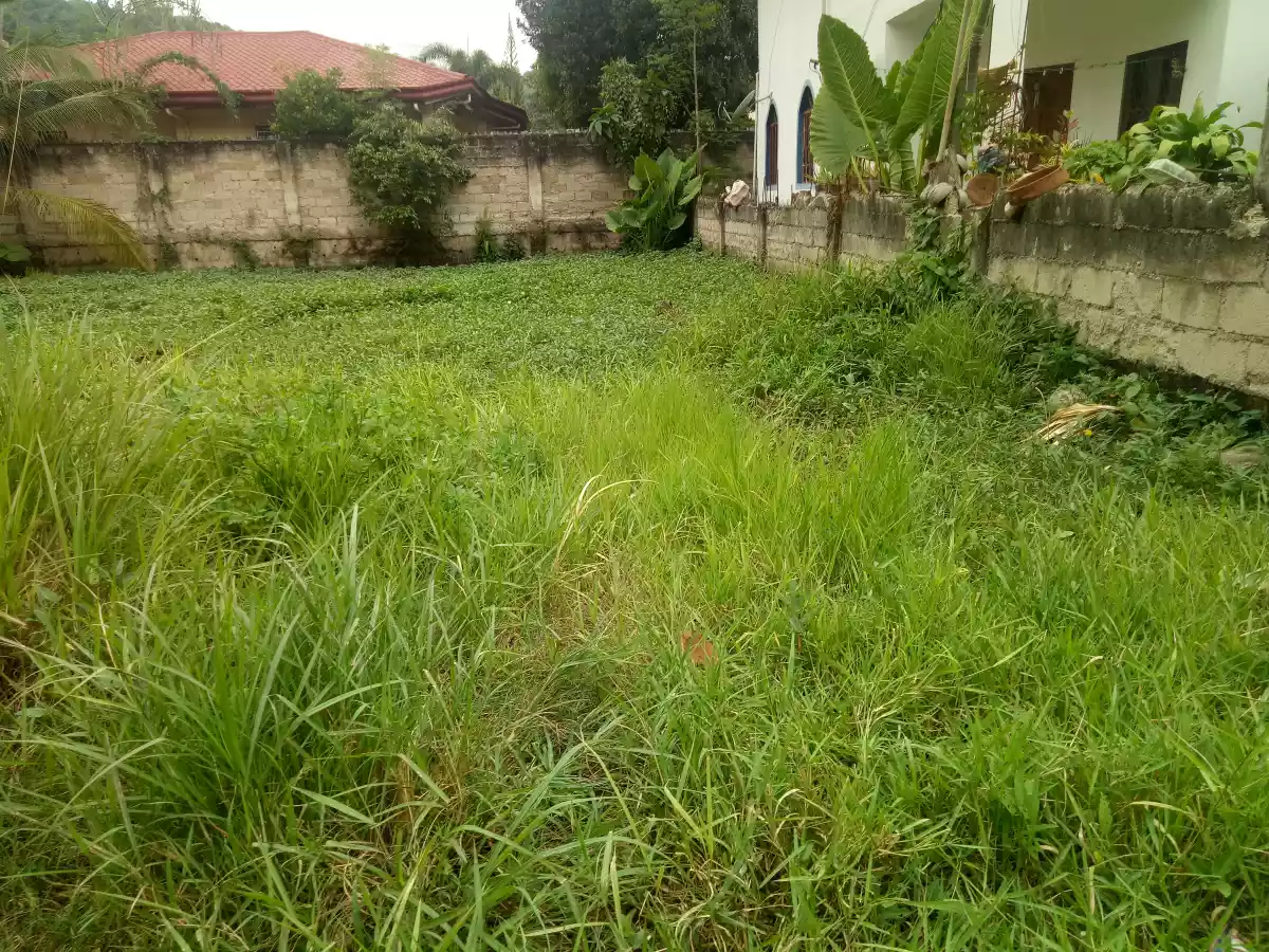 Lot for Sale in Talamban - photo 2