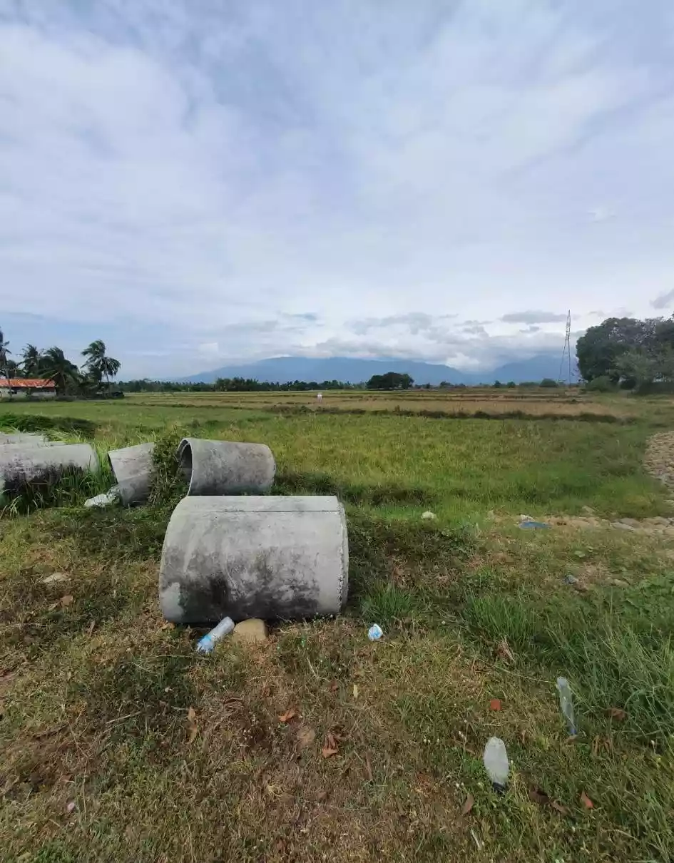 AGRI LOT , NARRA PALAWAN - photo 3