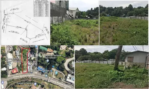 Commercial Prime lot For Sale in Mandaue - photo 6